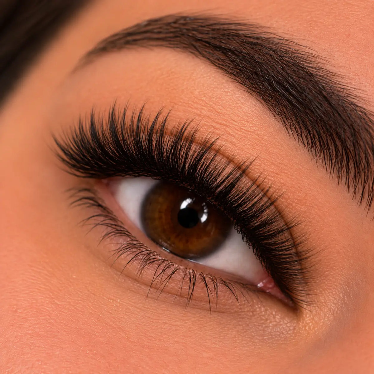 CS Lash