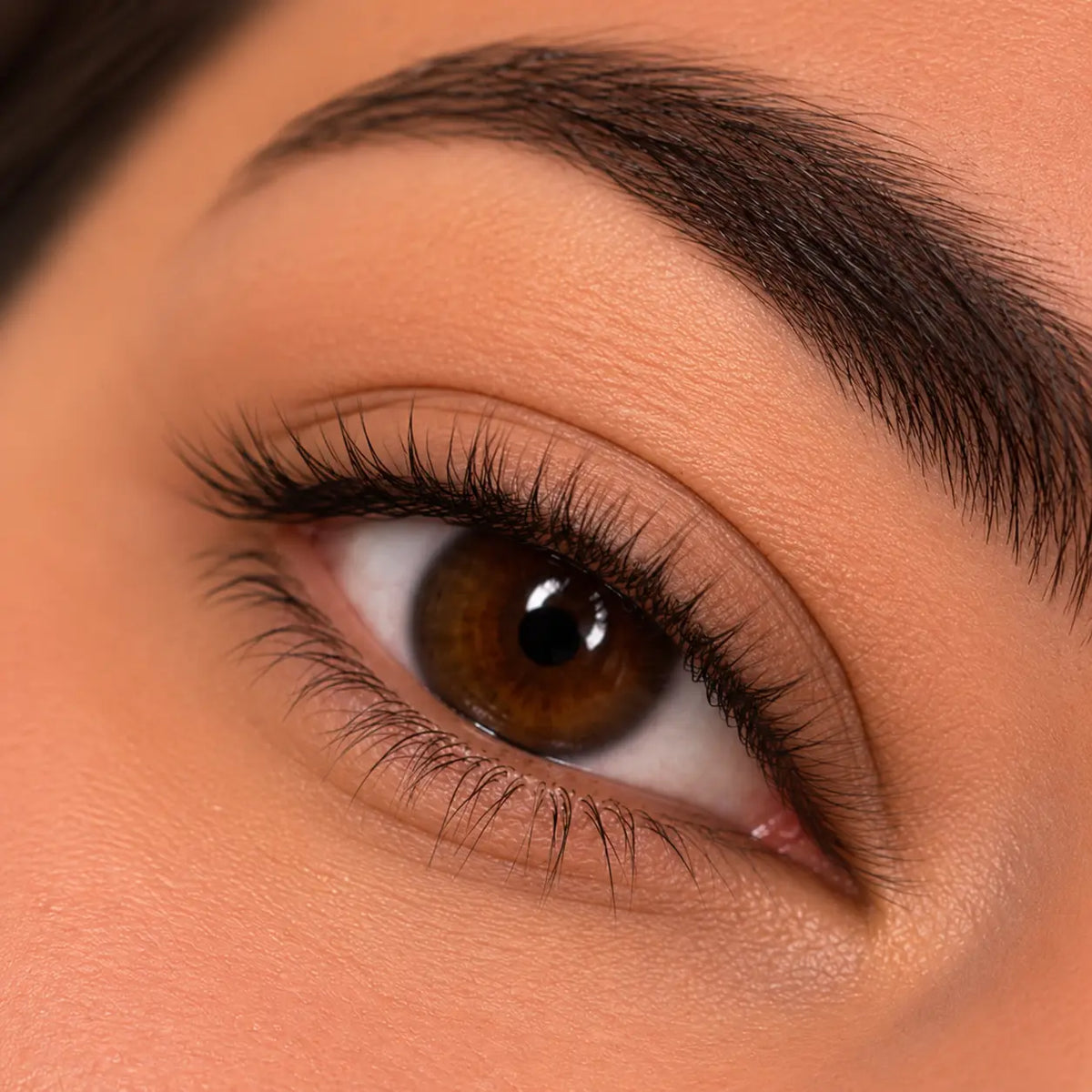 CS Lash